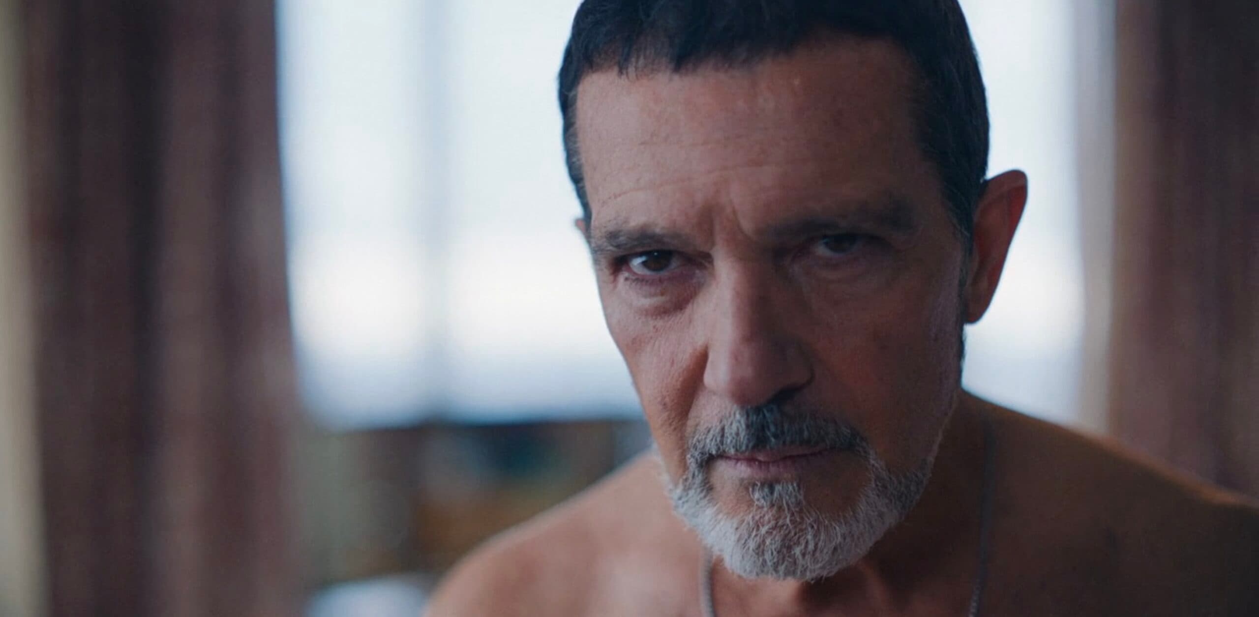 Antonio Banderas: filmy akcji to niezaprzeczalnie jego świat, lecz na tym się nie kończy [TOP]