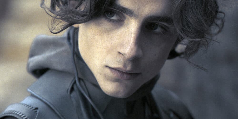 Timothée Chalamet – filmy z piekielnie utalentowanym ulubieńcem młodego pokolenia i ikoną mody [TOP]