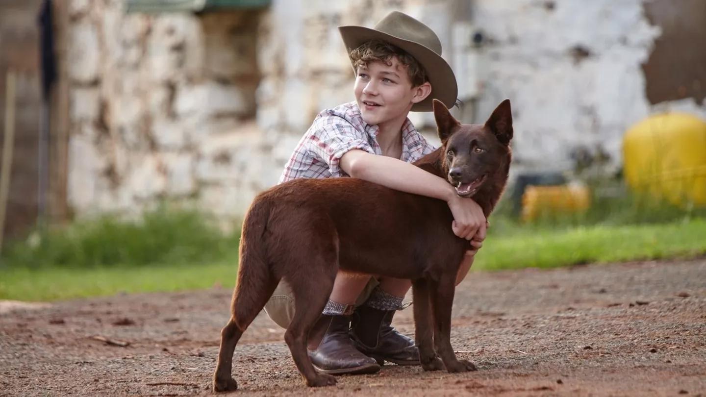 Moje wakacje z Rudym film o psie najlepsze filmy o psach wzruszające filmy o psach