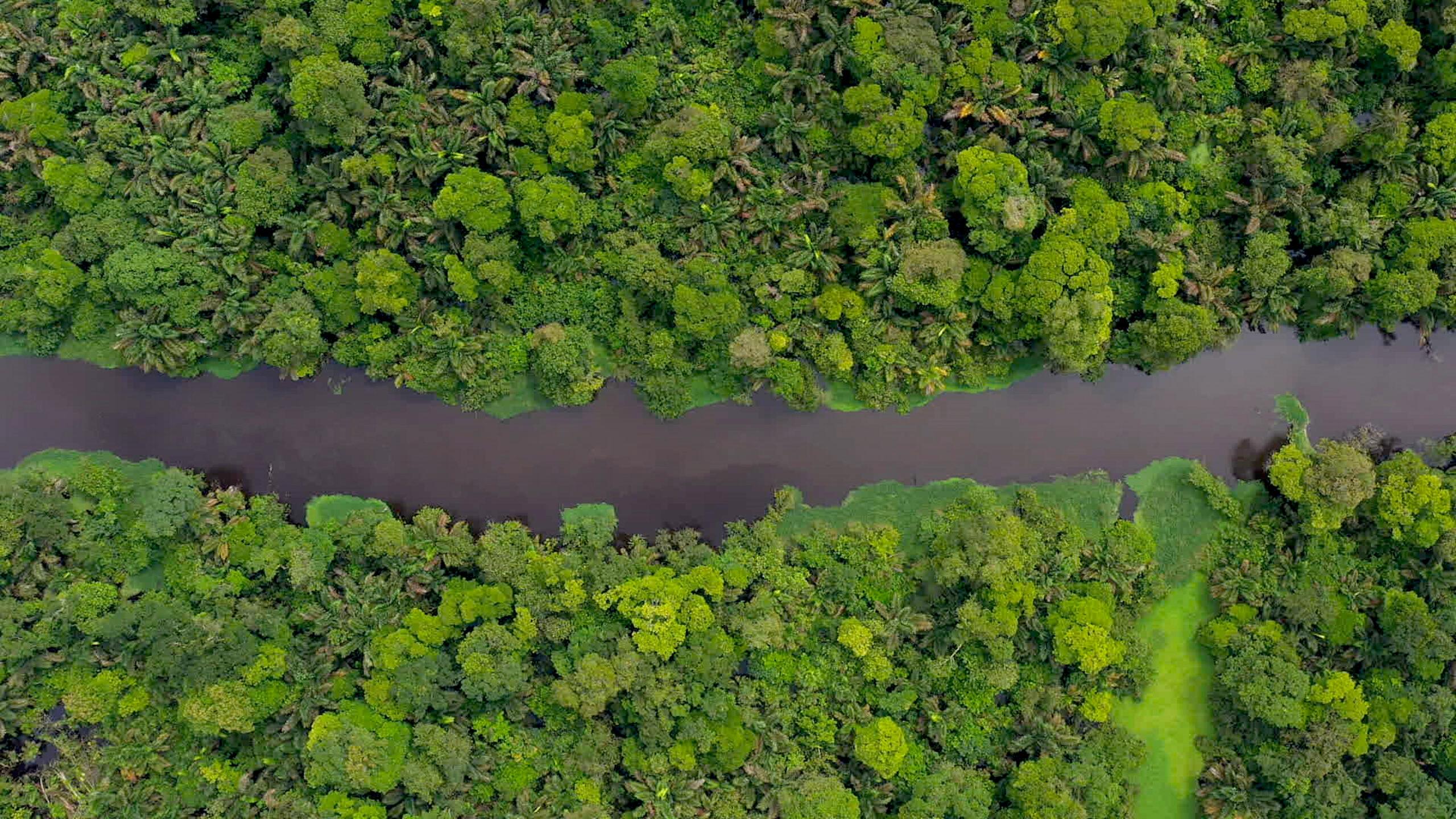 Tortuguero