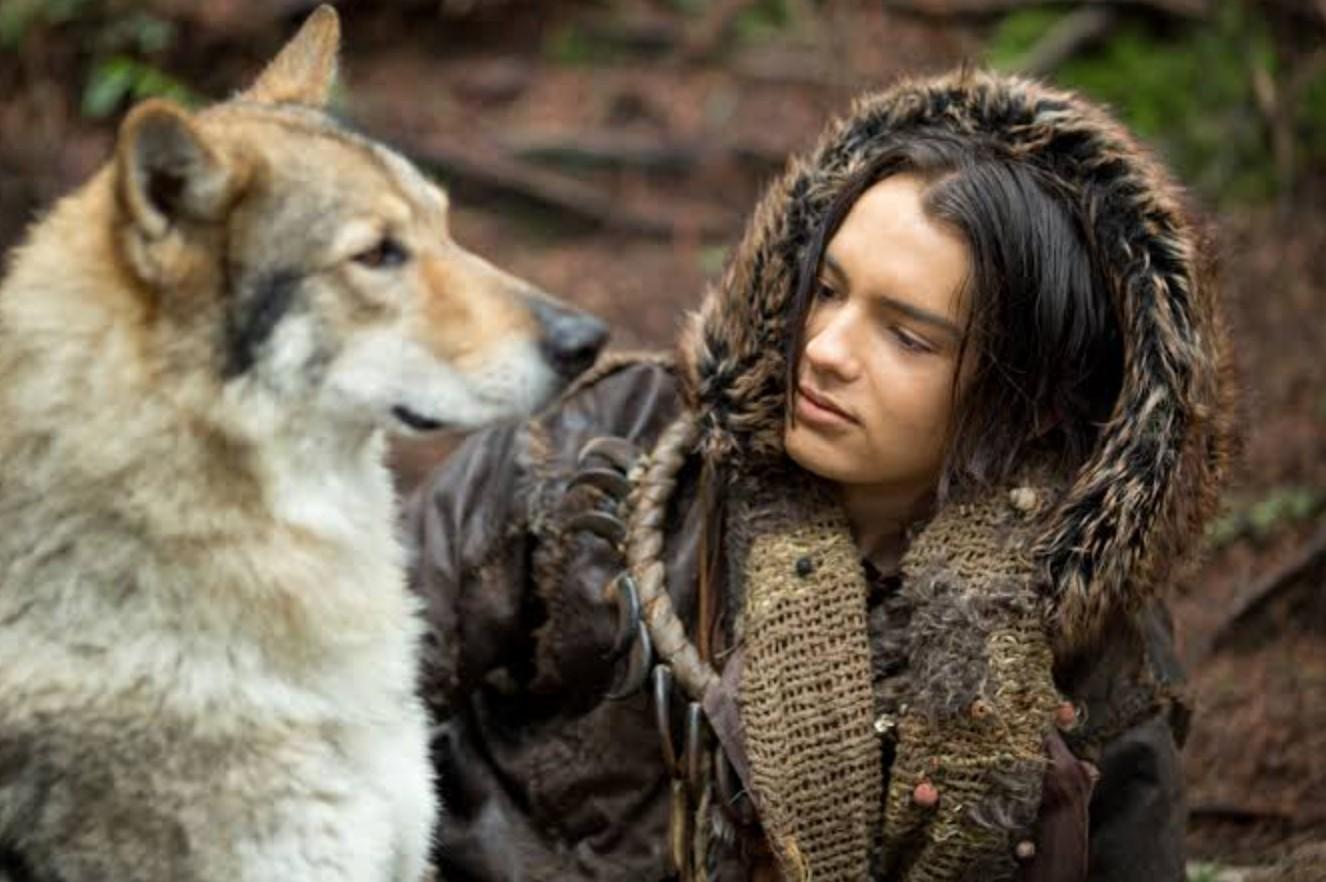 alpha filmy o wilkach