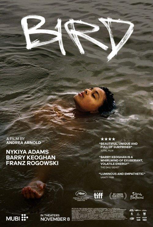 bird film brytyjskie filmy niezależne kino brytyjskie a