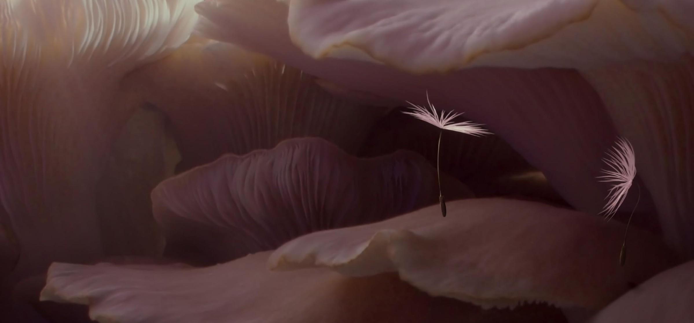 dmuchawce film animowany przyrodniczy