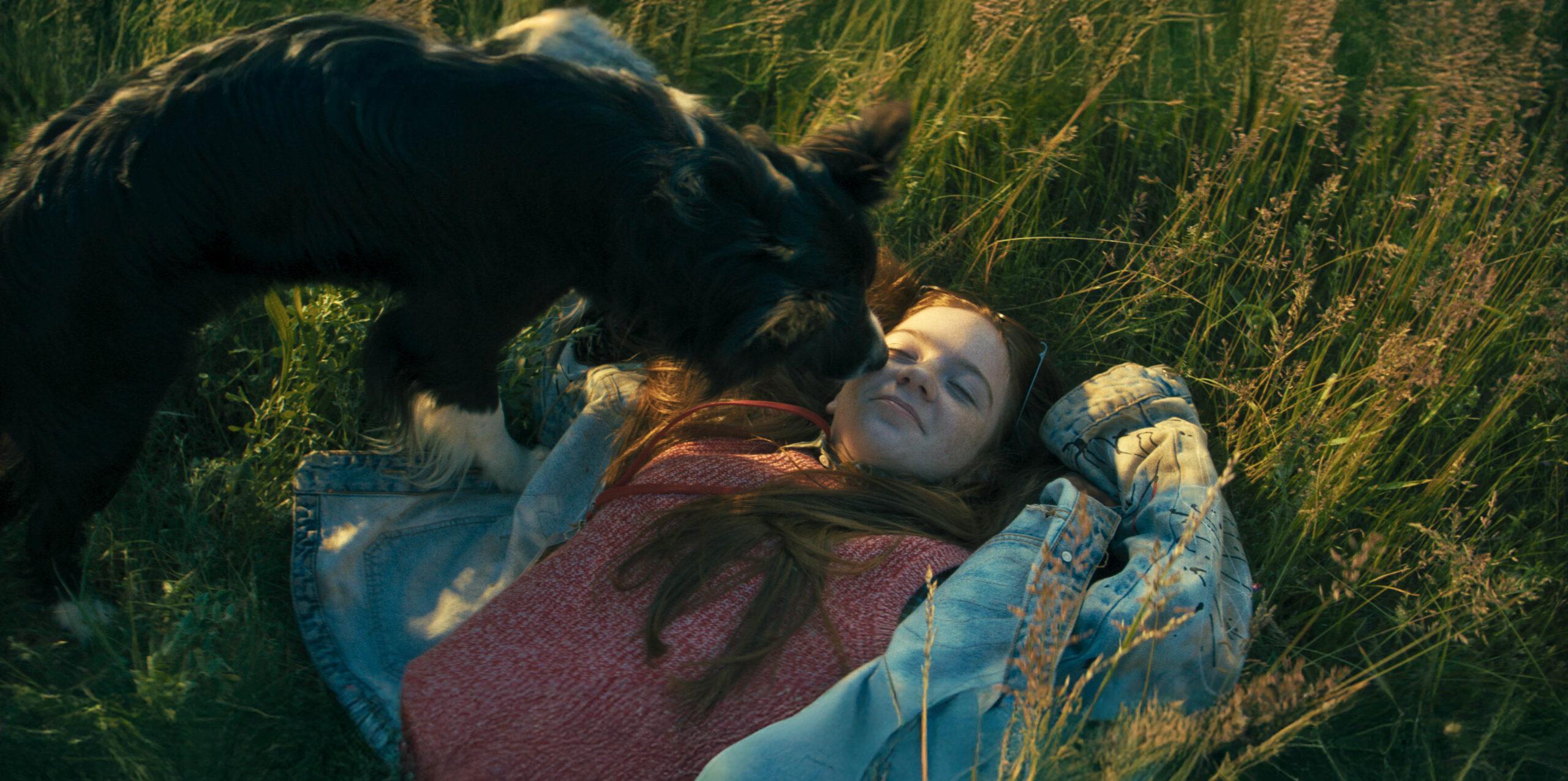 psoty film filmy o psach filmy familjne