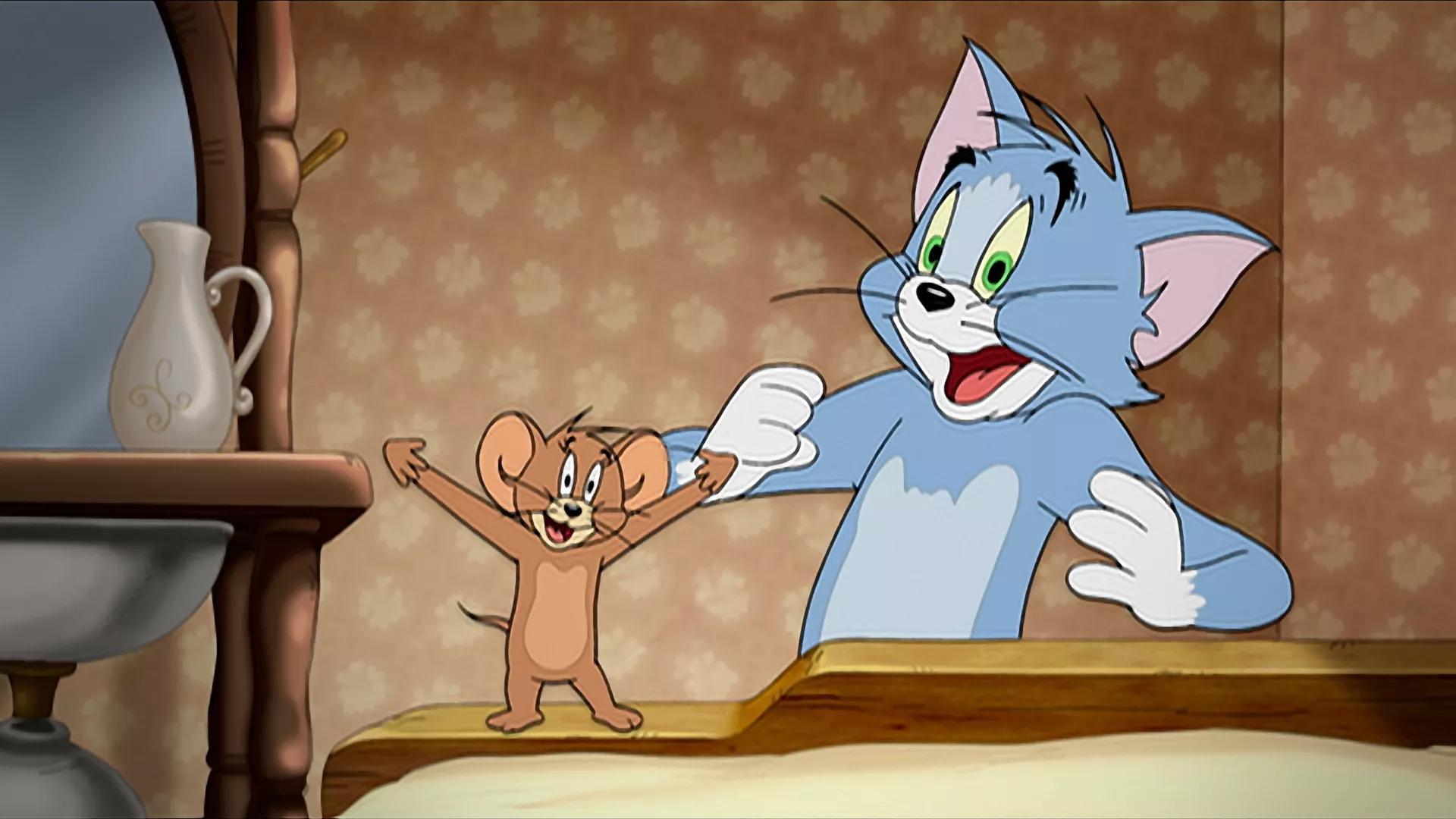 tom i jerry bajki o kotkach bajka o kotkach bajka z kotkami