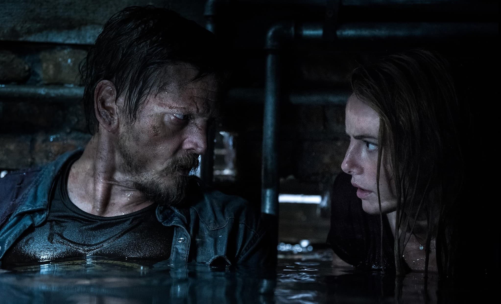 Filmy o krokodylach, które mrożą krew w żyłach. Oto nasz TOP 6 Filmy o krokodylach, które mrożą krew w żyłach. Oto nasz TOP 6