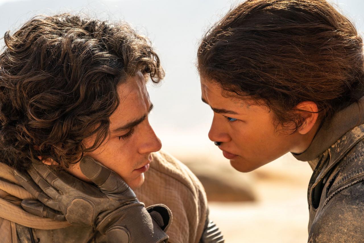 filmy denisa villeneuve denis villenueve filmy diuna timothee chalamet filmy z timothee chalametem filmy denisa villeneuve denis villenueve filmy diuna timothee chalamet filmy z timothee chalametem