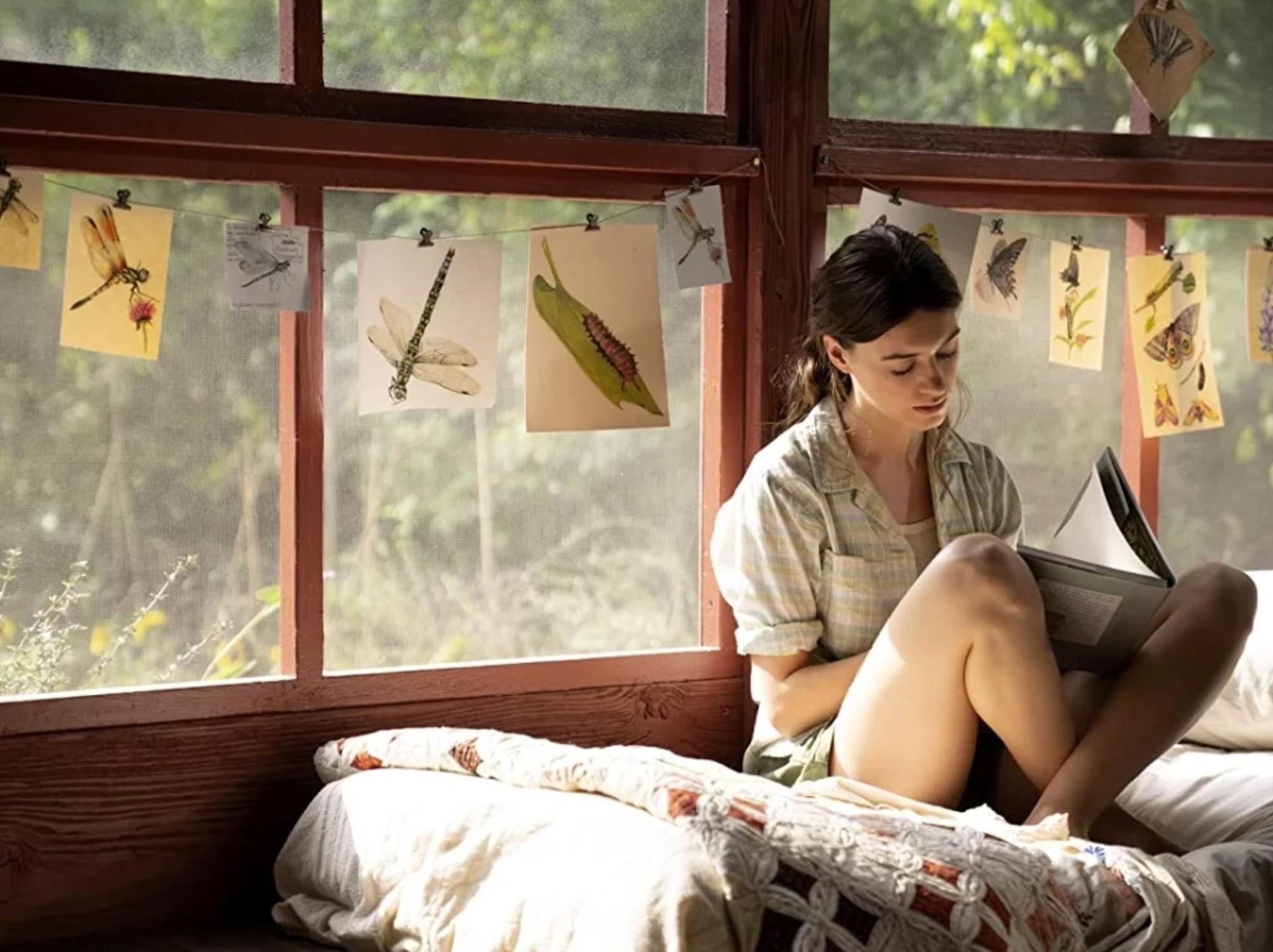 gdzie śpiewają raki melodramat filmy o miłości gdzie śpiewają raki melodramat filmy o miłości