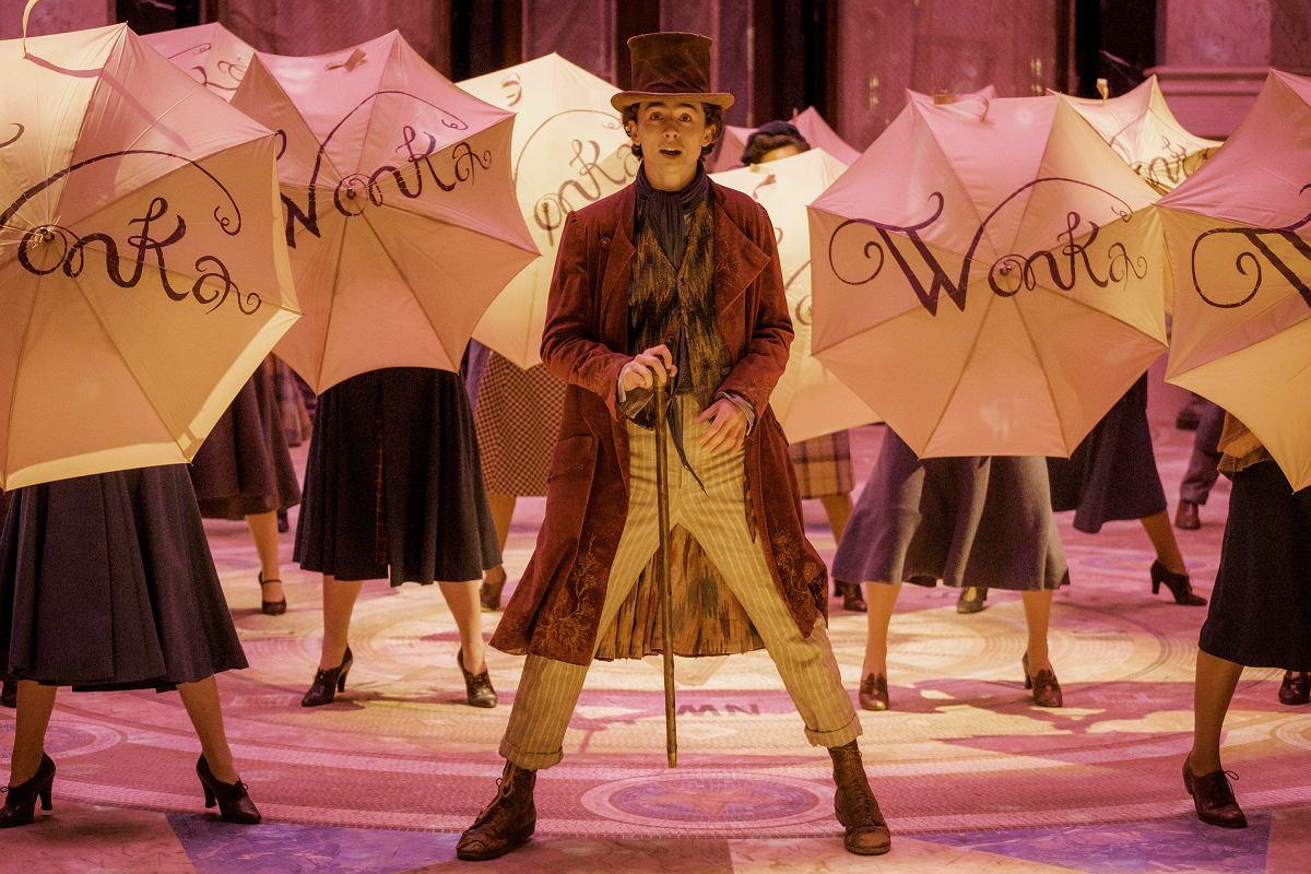 wonka timothee chalamet filmy z timothee chalametem wonka timothee chalamet filmy z timothee chalametem