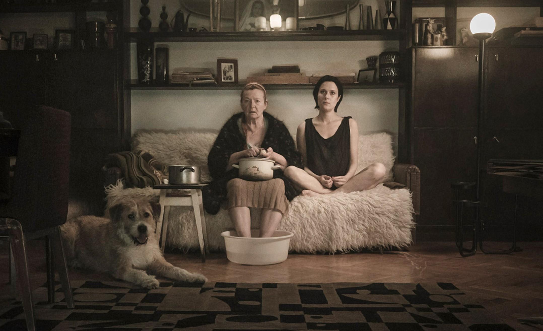 imago dramat psychologiczny lena góra filmy polskie filmy psychologiczne imago dramat psychologiczny lena góra filmy polskie filmy psychologiczne