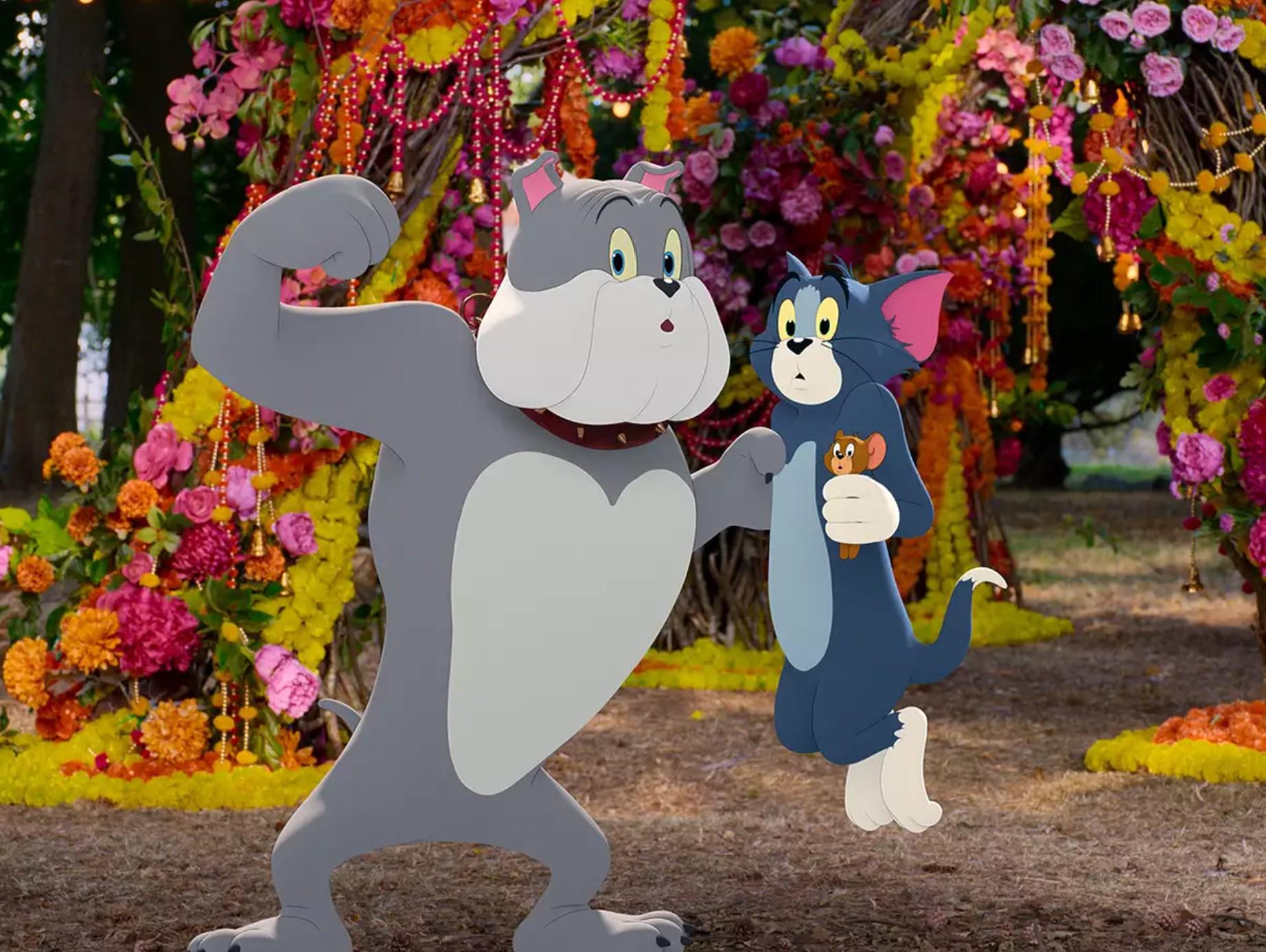 tom i jerry animowane filmy familijne filmy o kotach tom i jerry animowane filmy familijne filmy o kotach