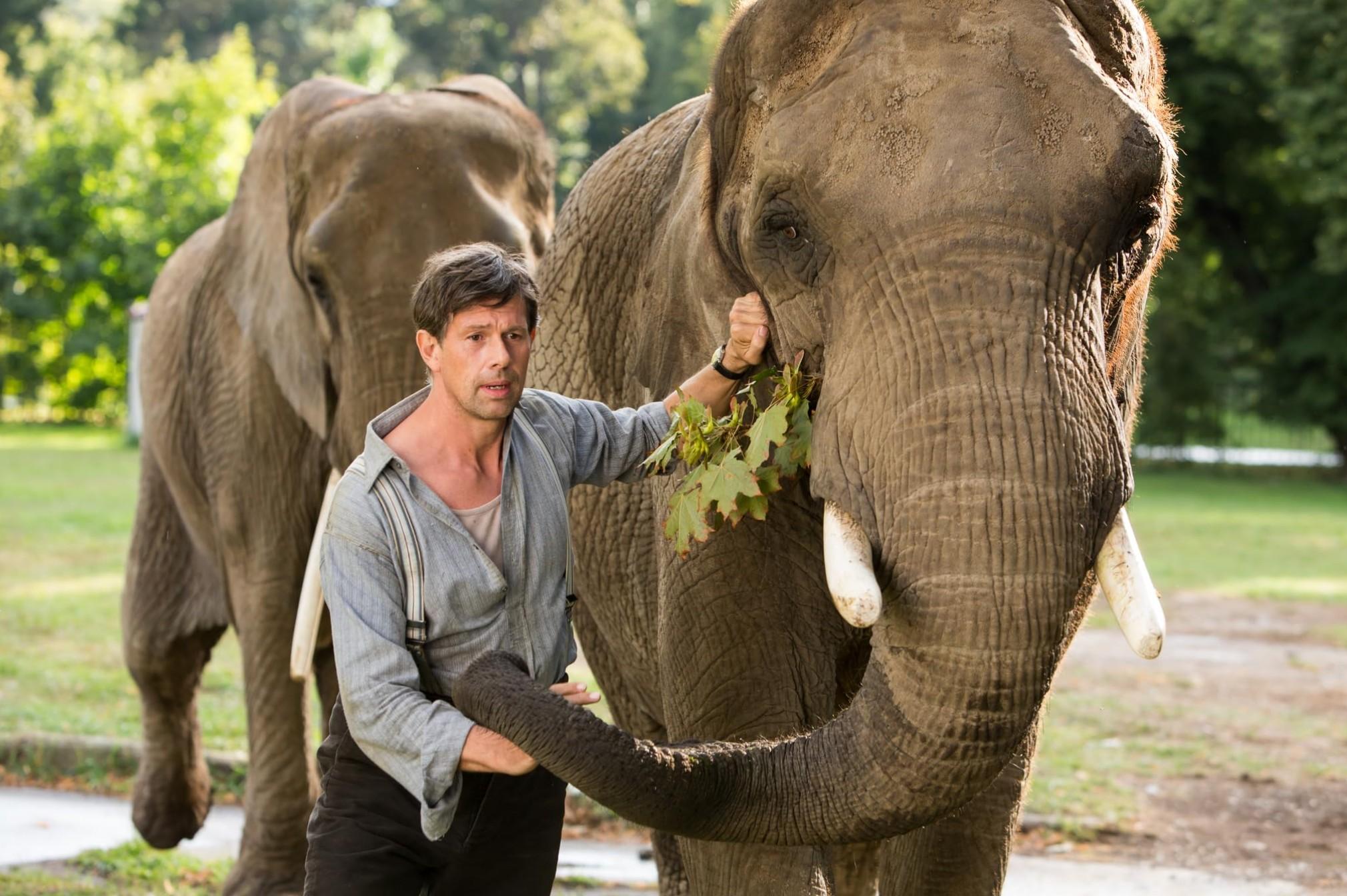 azyl 2017 filmy biograficzne filmy o wojnie jessica chastain filmy azyl 2017 filmy biograficzne filmy o wojnie jessica chastain filmy