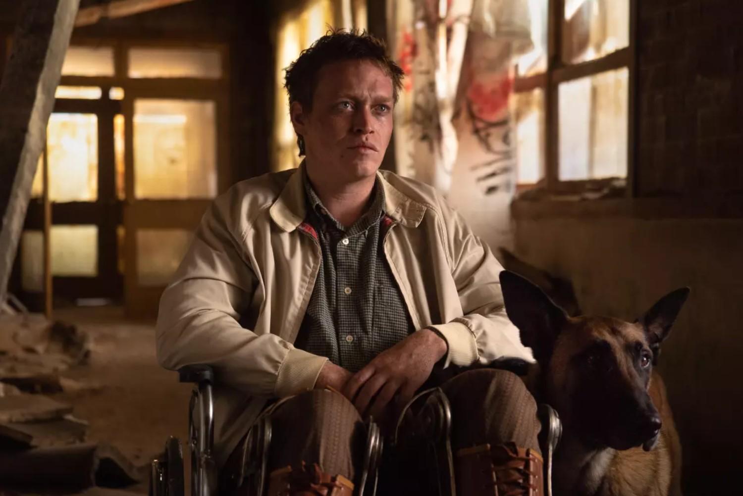 dogman luc besson filmy o psach kino francuskie filmy francuskie dogman luc besson filmy o psach kino francuskie filmy francuskie