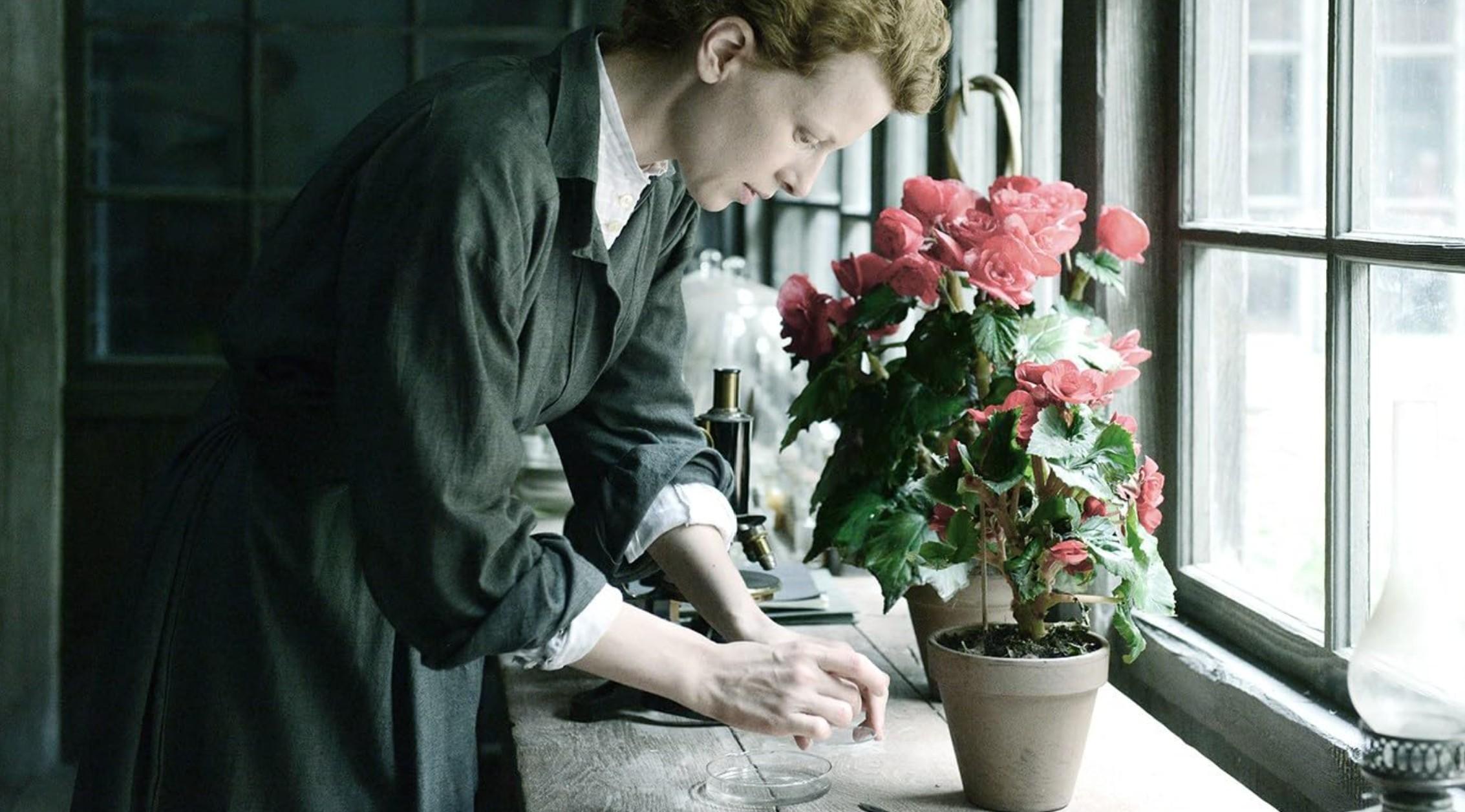 maria skłodowska curie film polskie filmy kino polskie filmy biograficzne karolina gruszka maria skłodowska curie film polskie filmy kino polskie filmy biograficzne karolina gruszka