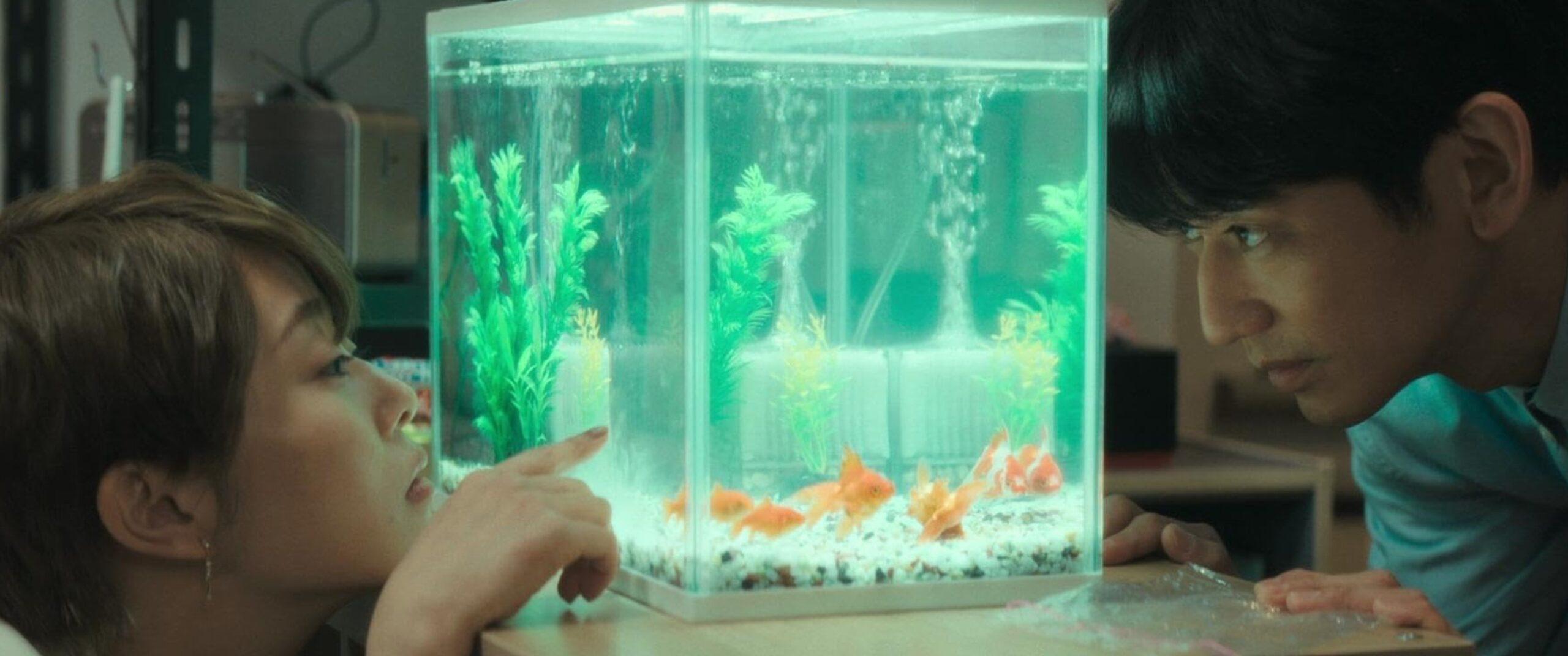 monster 2023 dramat kino japońskie film japoński monster 2023 dramat kino japońskie film japoński