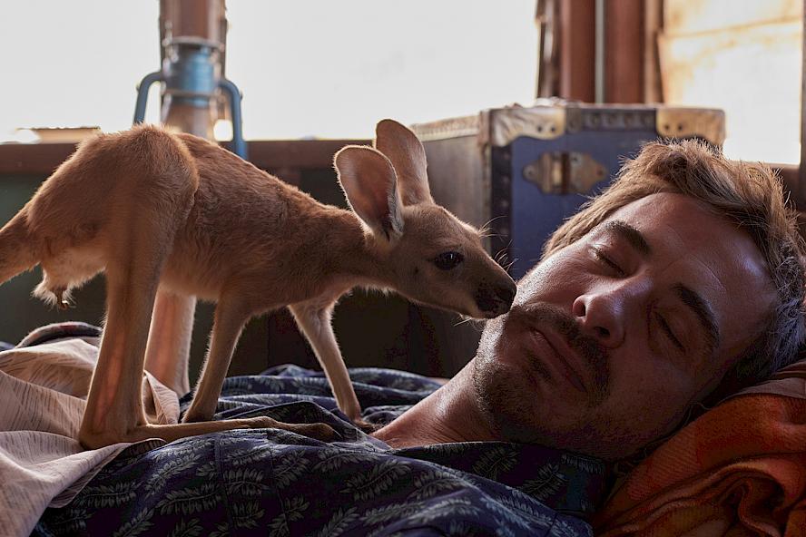 Lilly i kangurek filmy familijne filmy przygodowe filmy o zwierzętach filmy dla dzieci Lilly i kangurek filmy familijne filmy przygodowe filmy o zwierzętach filmy dla dzieci