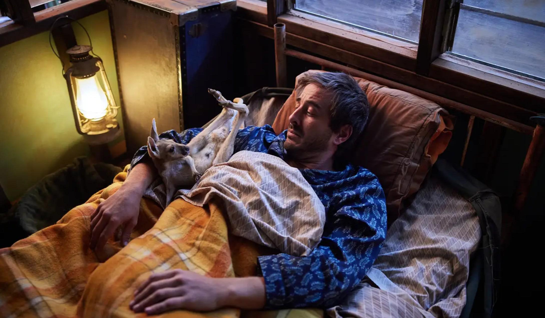 Lilly i kangurek filmy familijne filmy przygodowe filmy o zwierzętach filmy dla dzieci Lilly i kangurek filmy familijne filmy przygodowe filmy o zwierzętach filmy dla dzieci