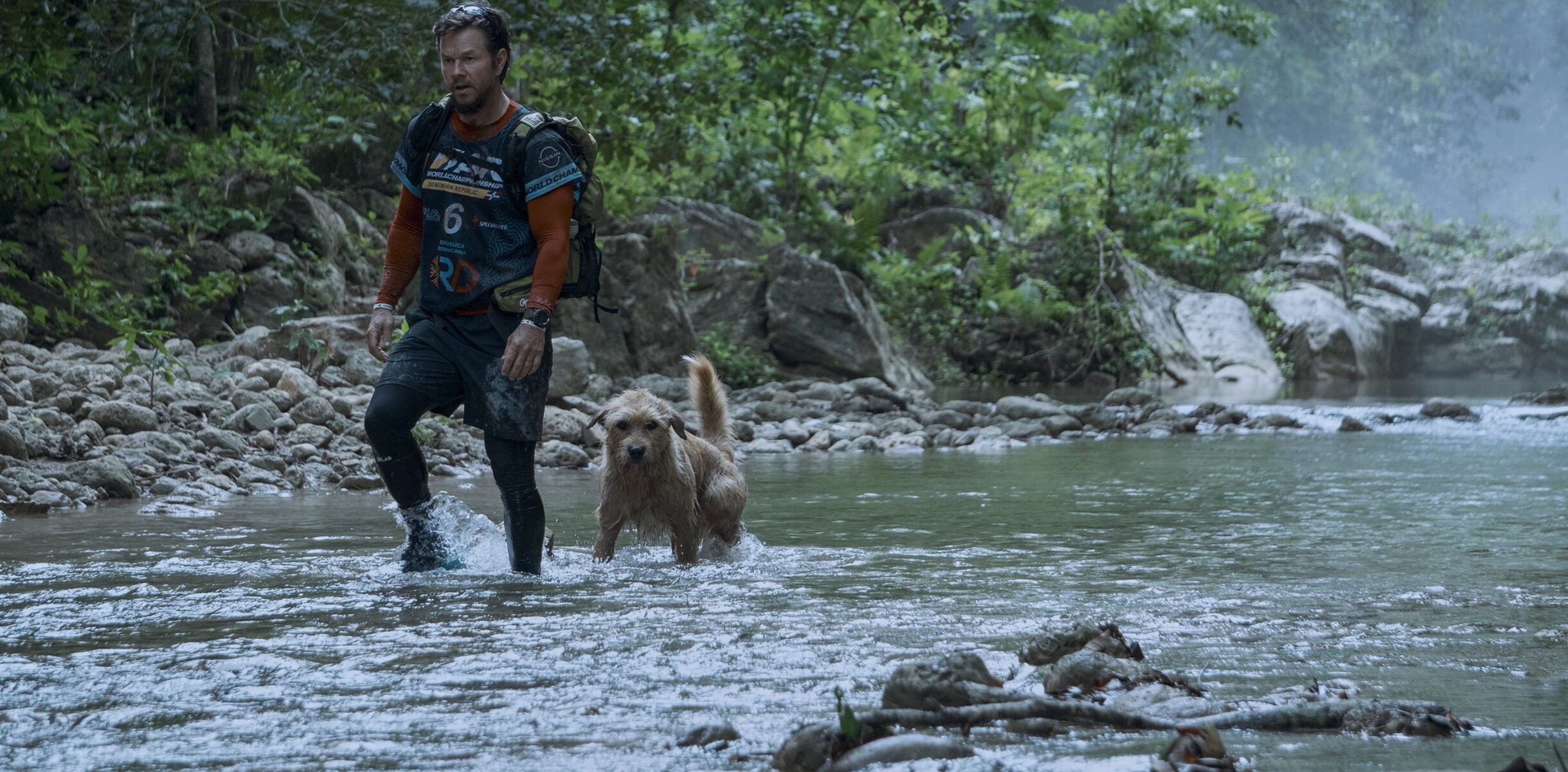 „Mój pies Artur” – gdzie obejrzeć nowy film z Markiem Wahlbergiem? Kiedy premiera?