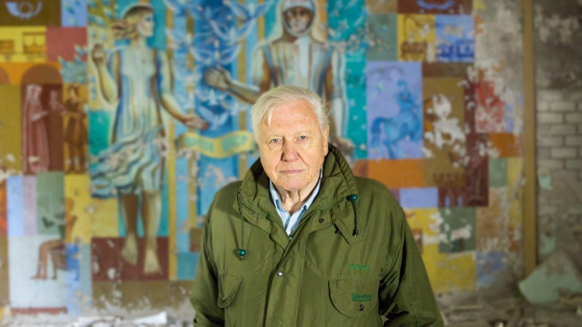 david attenborough życie na naszej planecie filmy dokumentalne netflixa david attenborough życie na naszej planecie filmy dokumentalne netflixa