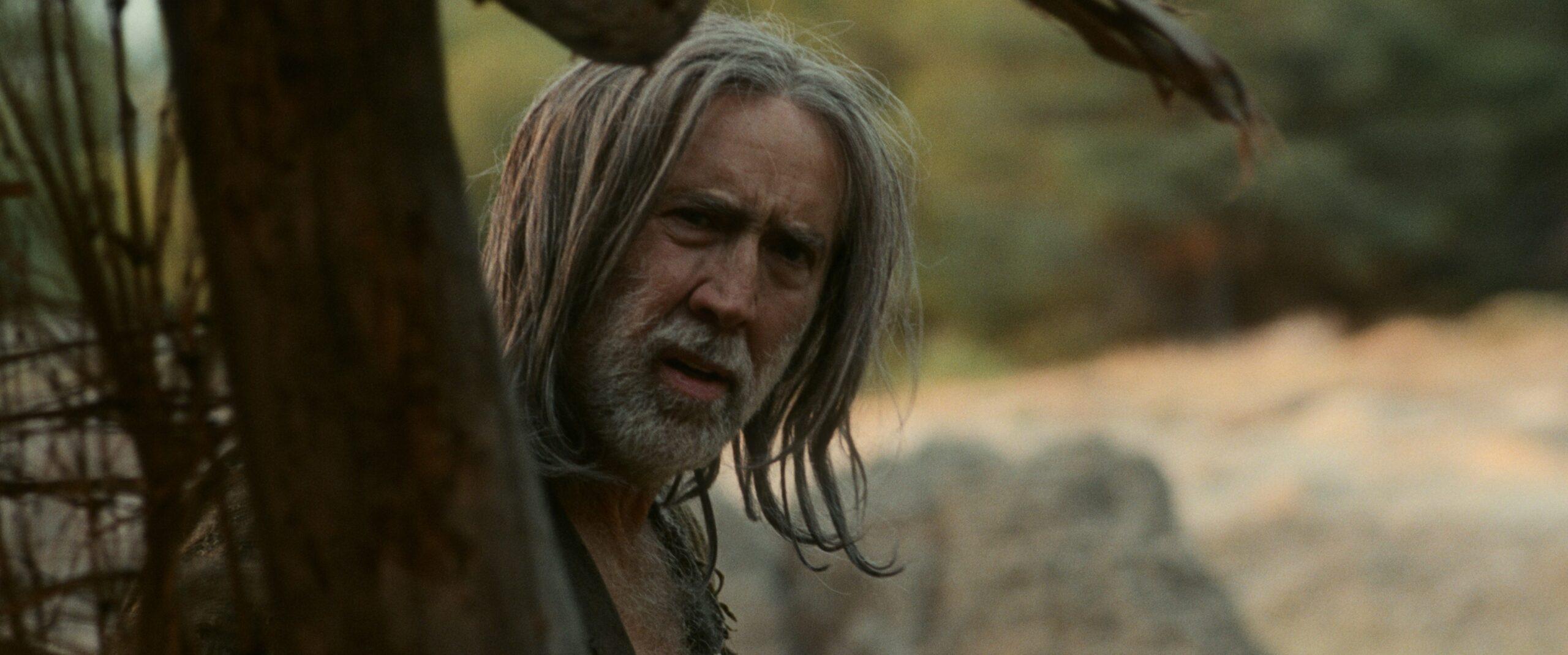 gdzie obejrzeć film Syn przeznaczenia gdzie obejrzeć film Syn przeznaczenia