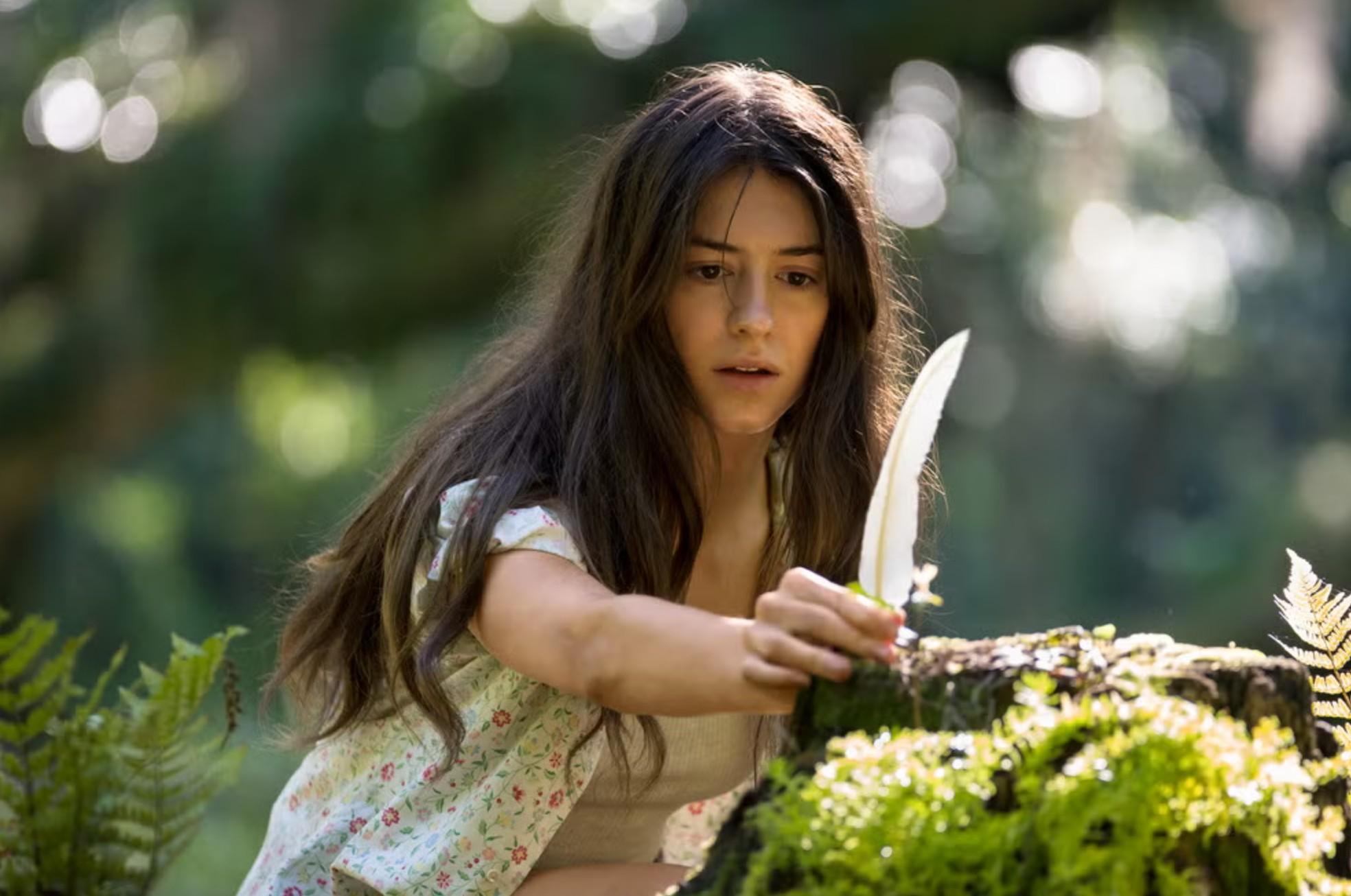 gdzie śpiewają raki dreszczowiec mystery melodramat gdzie śpiewają raki dreszczowiec mystery melodramat