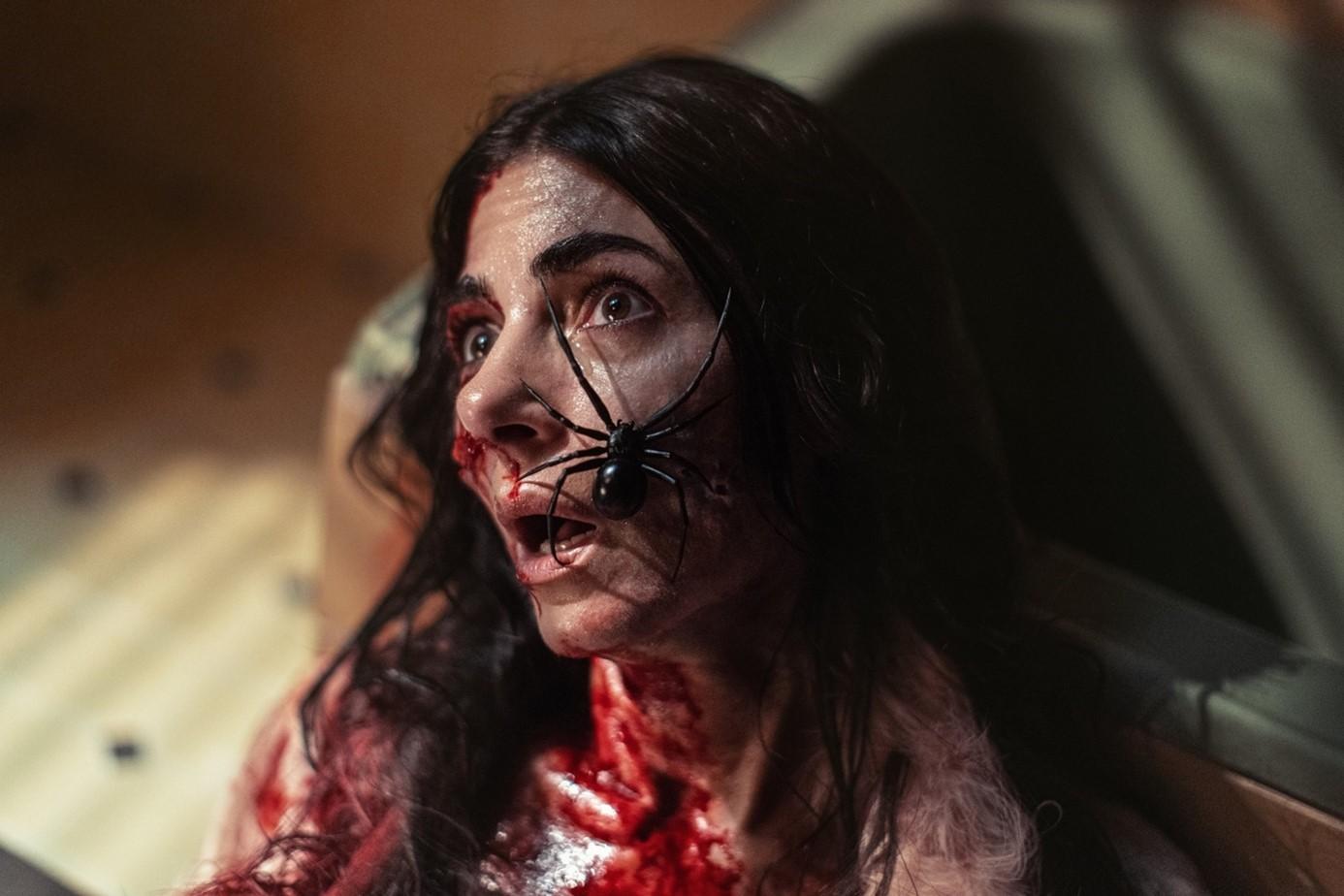 gniazdo pająka horror gniazdo pająka gdzie obejrzec kiedy premiera kino świat gniazdo pająka horror gniazdo pająka gdzie obejrzec kiedy premiera kino świat