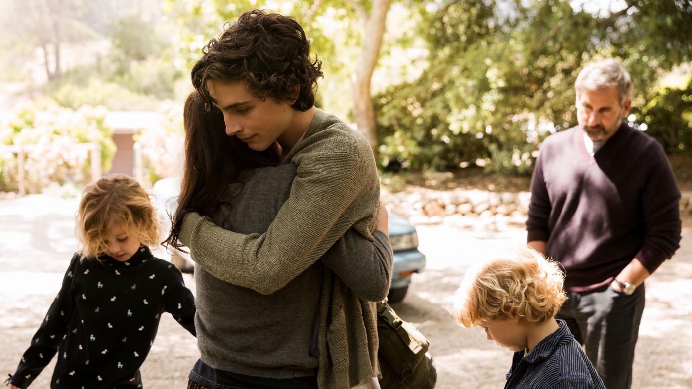 mój piękny syn timothee chalamet filmy z timothee chalametem mój piękny syn timothee chalamet filmy z timothee chalametem
