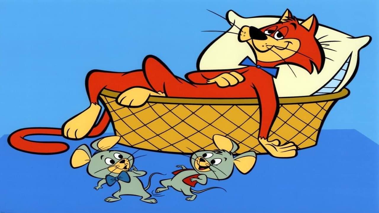 pixie i dixie bajki o kotkach bajka o kotkach bajka z kotkami pixie i dixie bajki o kotkach bajka o kotkach bajka z kotkami