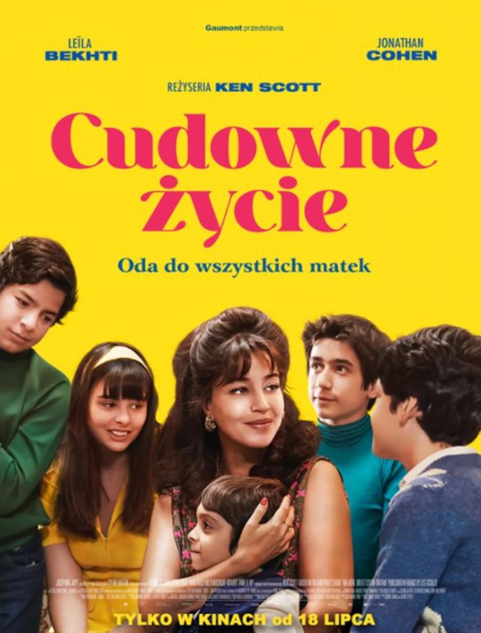 poster cudowne życie komediodramat filmy francuskie kino francuskie poster cudowne życie komediodramat filmy francuskie kino francuskie