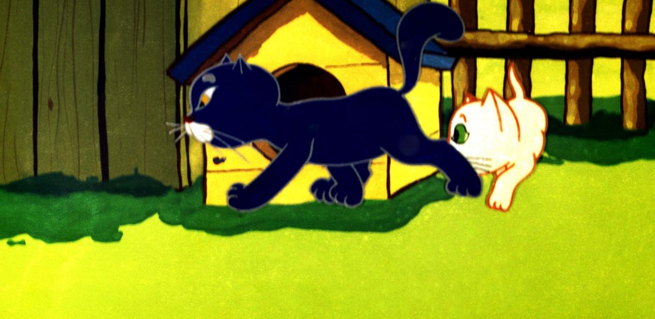 przygody kota filemona bajki o kotkach bajka o kotkach bajka z kotkami przygody kota filemona bajki o kotkach bajka o kotkach bajka z kotkami