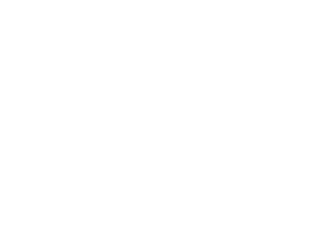 English Premier League