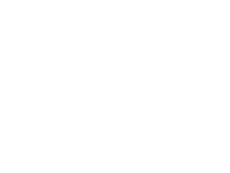 UEFA Champions League
