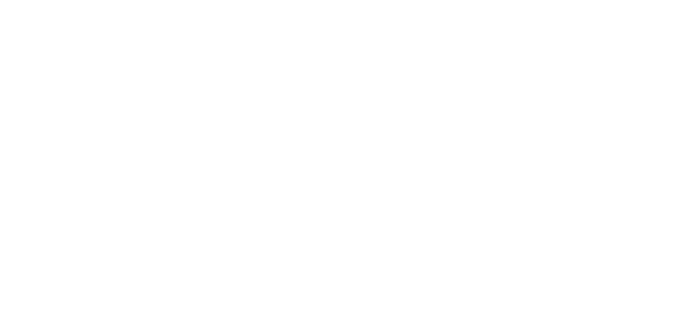 logo_fullscreen