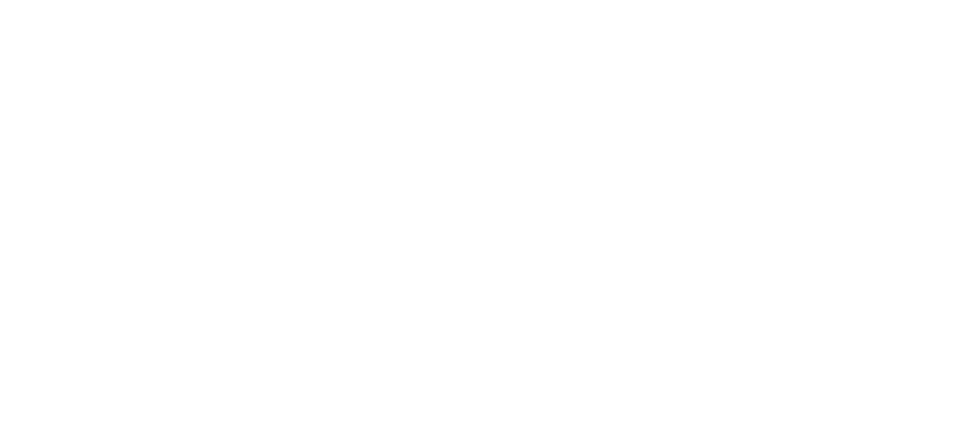 logo_fullscreen