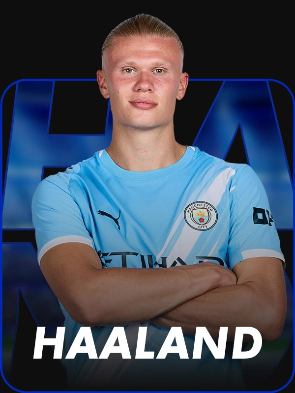 Erling Haalandi