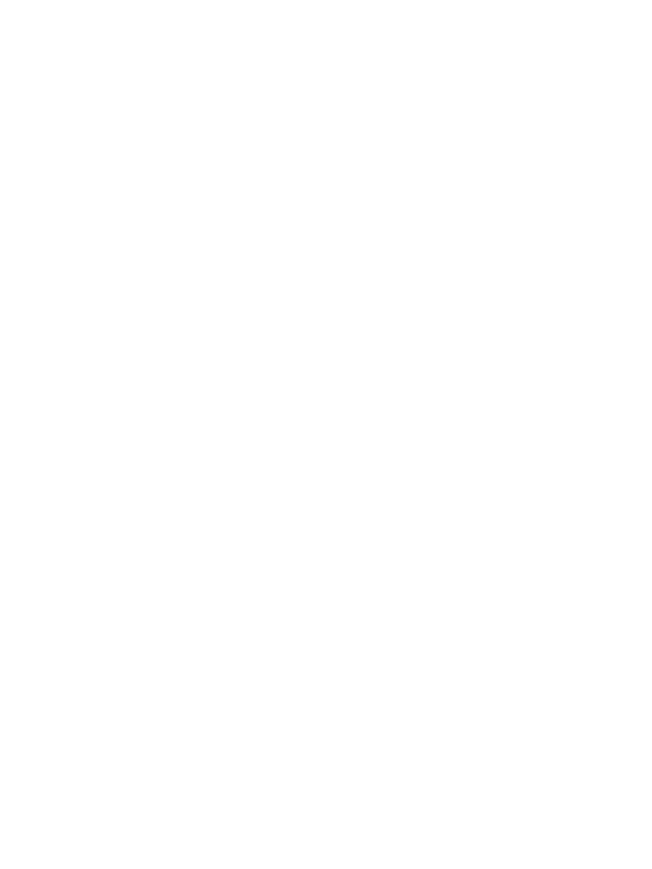 Projekt Fighter