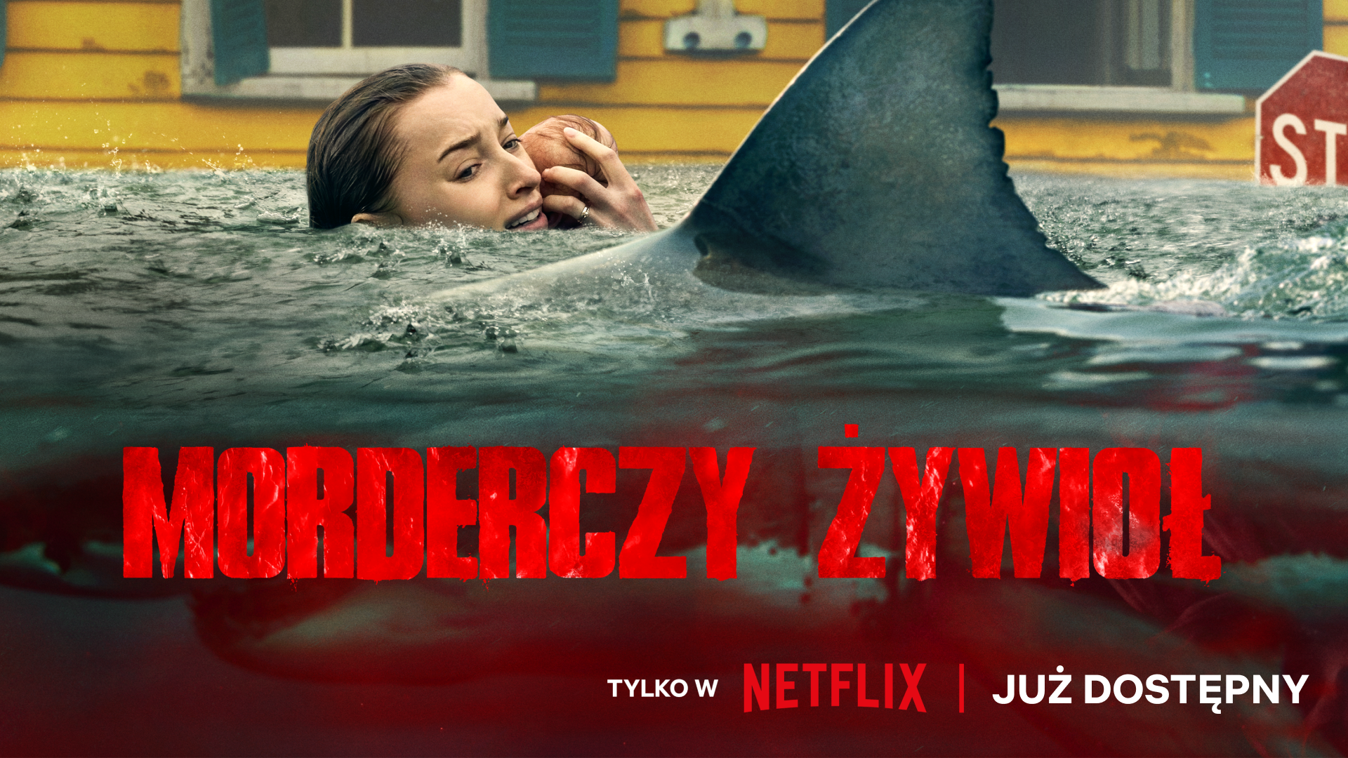 Netflix propozycja filmu/serialu