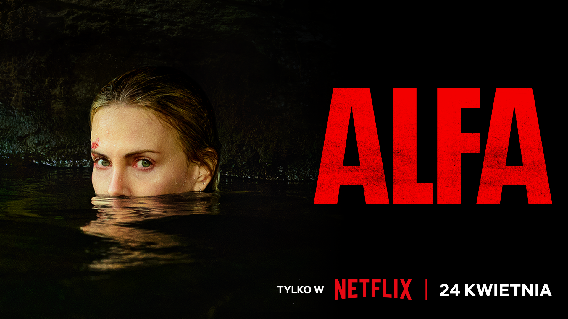 Netflix propozycja filmu/serialu