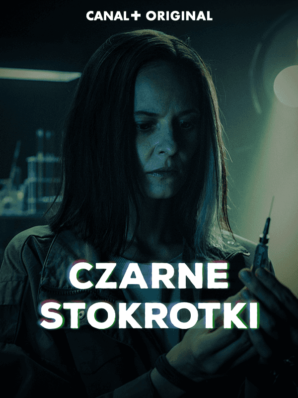 Czarne stokrotki